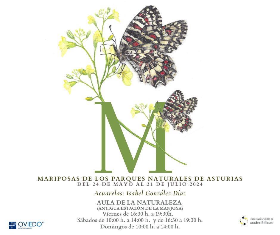 Exposición de acuarelas: Mariposas de los parques naturales de Asturias